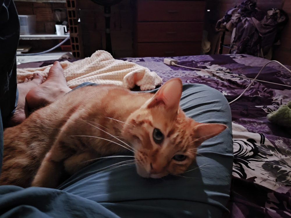 Mau hoy, en casa